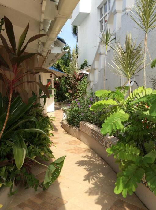 Lush Tropical Located In A 4-star *