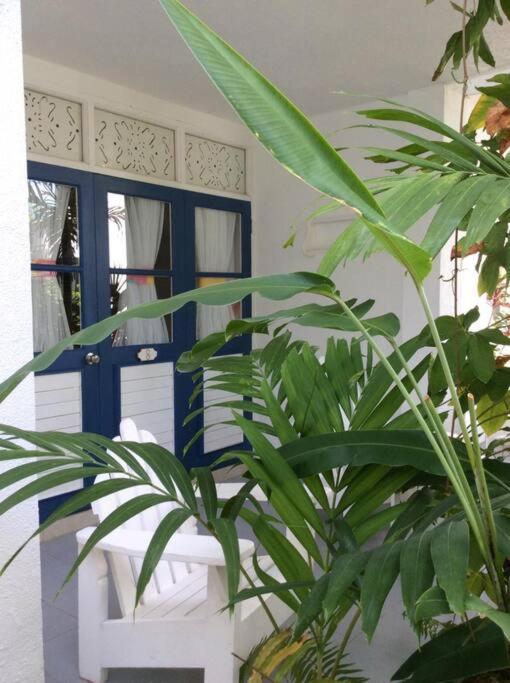 Lush Tropical Located In A 4-star