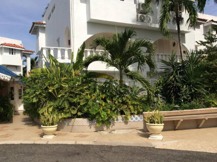 Lush Tropical Located In A 4-star Apartment *